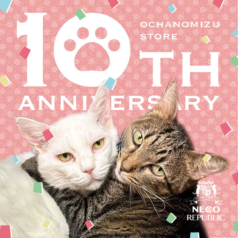 株式会社ネコリパブリック