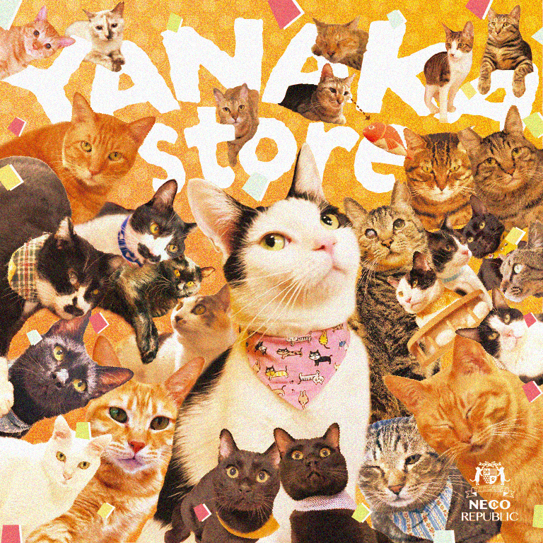 株式会社ネコリパブリック