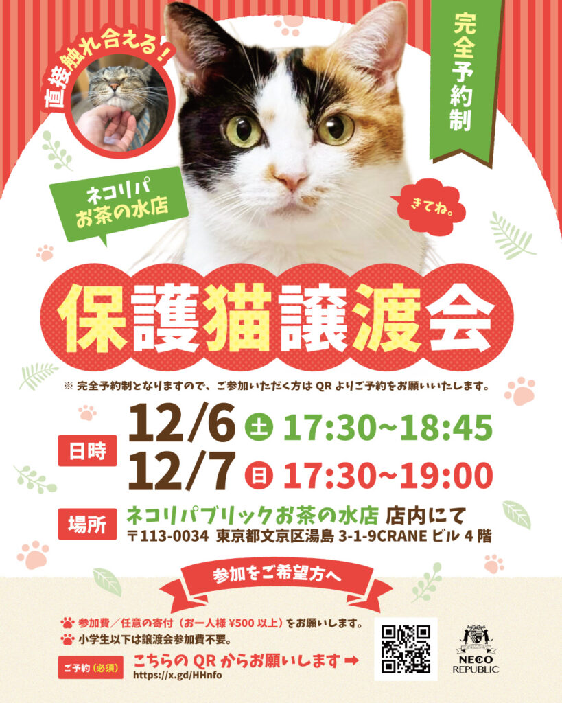 株式会社ネコリパブリック