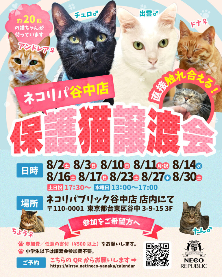 保護猫カフェ ネコリパブリック【flyer】