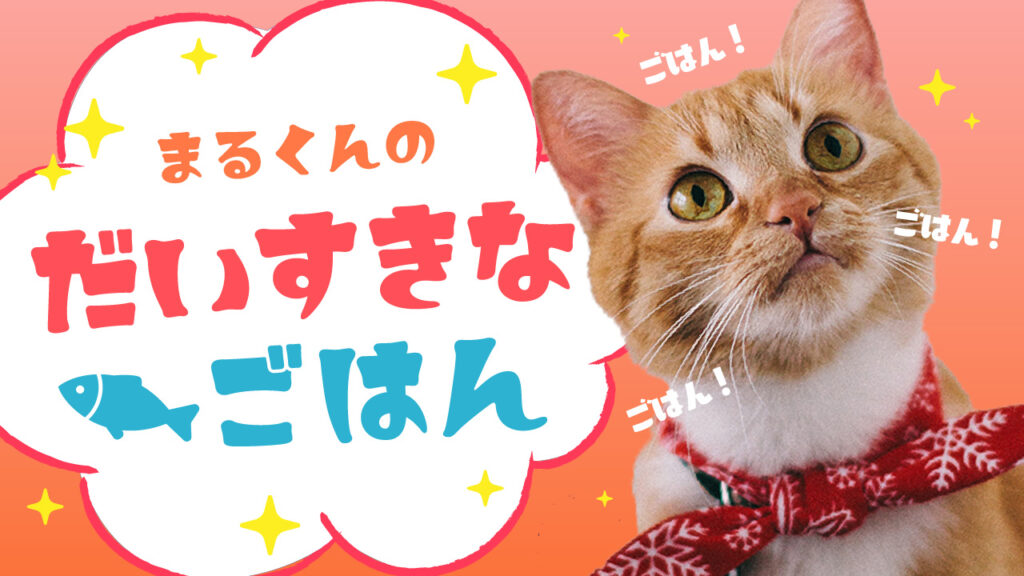 保護猫 YouTubeサムネイルデザイン